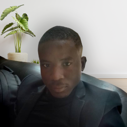 Team Member
